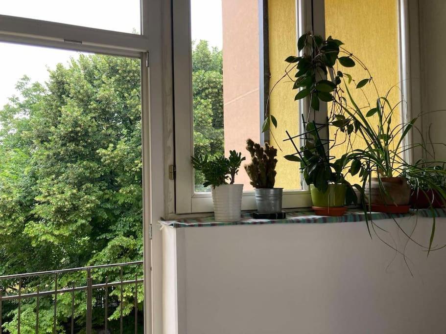 Oh Lola! Lägenhet Belgrad Exteriör bild